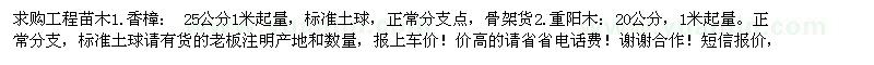 求購香樟，重陽木