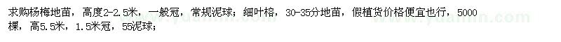 求購楊梅、細葉榕、藍花楹