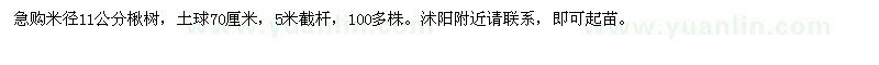 求購(gòu)米徑11公分楸樹