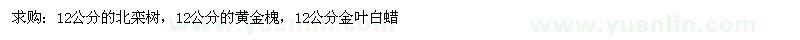 求購北欒、黃金槐、白蠟 
