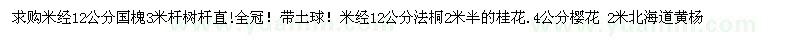 求購(gòu)國(guó)槐、法桐、桂花、櫻花、北海道黃楊