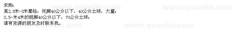 求購高2.5米-3米蜀檜