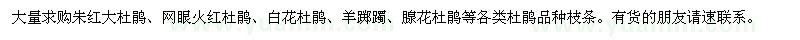 求購各類杜鵑品種枝條