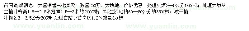 求購(gòu)國(guó)槐、白蠟、北欒等大規(guī)格苗木