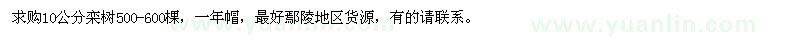 求購10公分欒樹