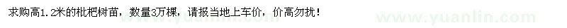 求購高1.2米枇杷樹苗