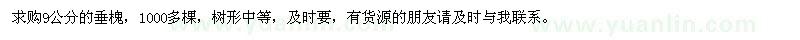 求購9公分的垂槐
