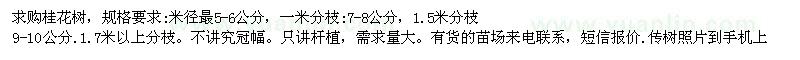 求購(gòu)桂花樹(shù)7-8公分、9-10公分