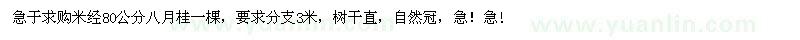 求購(gòu)米經(jīng)80公分八月桂