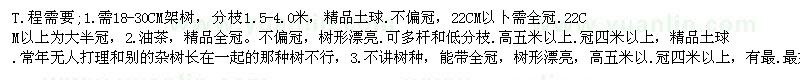 求購欒樹 油茶