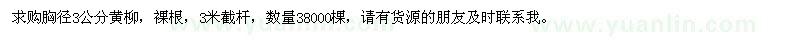 求購胸徑3公分黃柳
