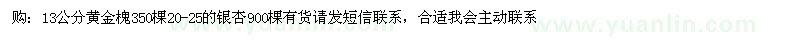 求購 黃金槐 銀杏 
