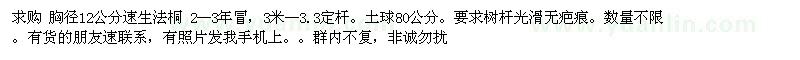 求購胸徑12公分速生法桐 