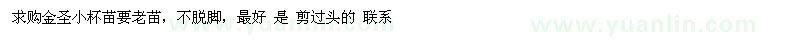 求購金圣小杯苗要老苗