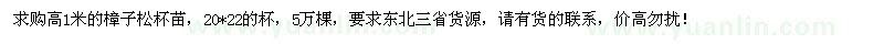 求購高1米樟子松杯苗