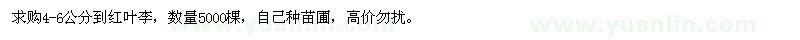 求購(gòu)4-6公分紅葉李
