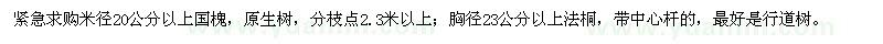 求購國槐、法桐