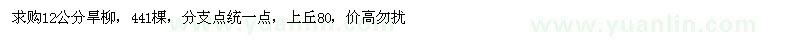 求購12公分旱柳