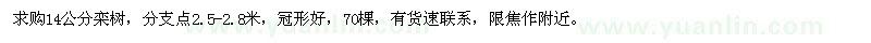 求購(gòu)14公分欒樹