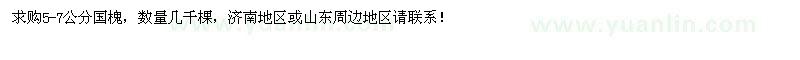 求購(gòu)5-7公分國(guó)槐