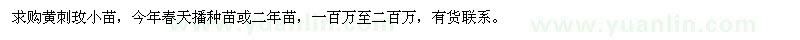 求購黃刺玫小苗