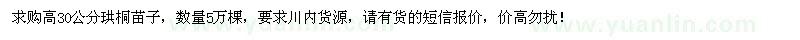 求購高30公分珙桐苗子