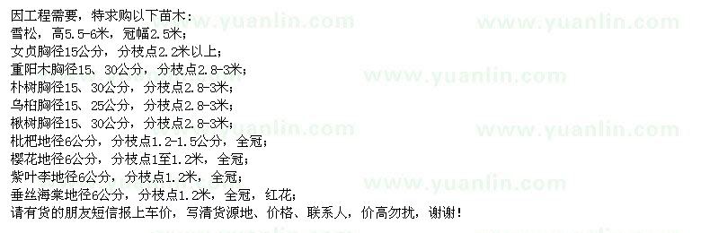 求購(gòu)雪松、女貞、重陽(yáng)木、樸樹(shù)等苗木