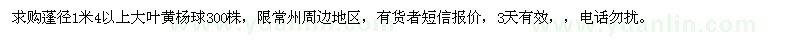 求購蓬徑1米4以上大葉黃楊球