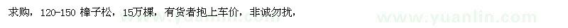 求購(gòu)120-150 樟子松 