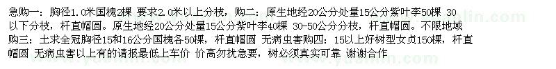 求購(gòu)國(guó)槐 紫葉李 等苗木