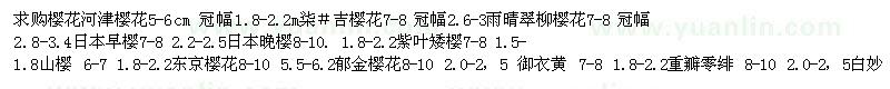 求購櫻花 日本早櫻 紫葉矮櫻 