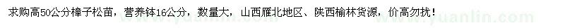 求購高50公分樟子松苗