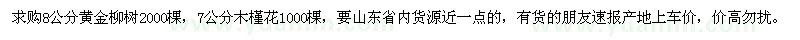 求購8公分黃金柳、7公分木槿