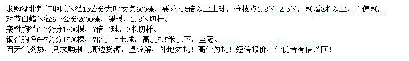 求購大葉女貞、對節(jié)白蠟、欒樹、銀杏樹 