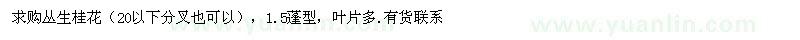 求購叢生桂花