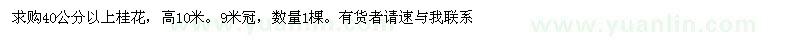 求購(gòu)40公分以上桂花 