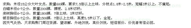 求購大葉女貞、白蠟、欒樹、銀杏