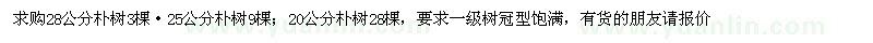 求購28公分樸樹、25公分樸樹、20公分樸樹
