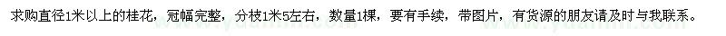 求購直徑1米以上的桂花