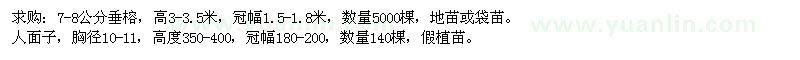 求購垂榕,人面子