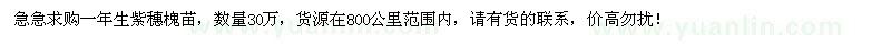 求購(gòu)一年生紫穗槐苗