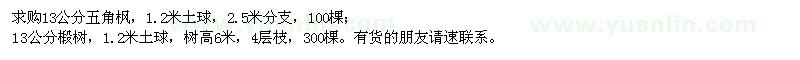求購(gòu)五角楓、椴樹 