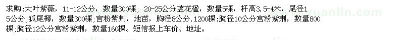求購大葉紫薇  狐尾椰  宮粉紫荊等