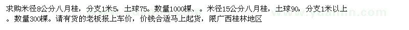 求購米徑8公分八月桂
