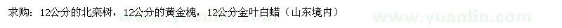 求購(gòu)北欒樹 黃金槐 金葉白蠟 
