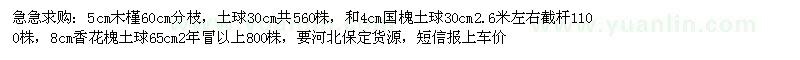 求購(gòu)木槿 國(guó)槐 香花槐 
