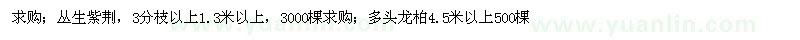 求購叢生紫荊 龍柏 