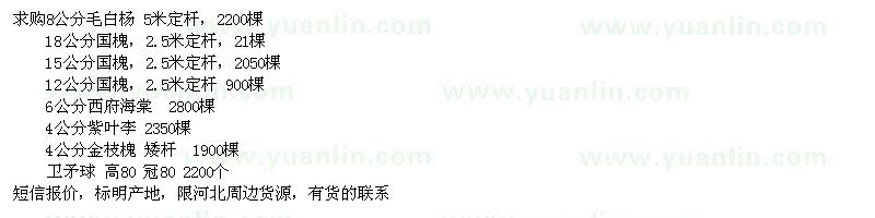求購毛白楊、國槐、西府海棠、衛(wèi)矛球