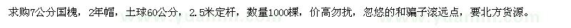 求購7公分國槐