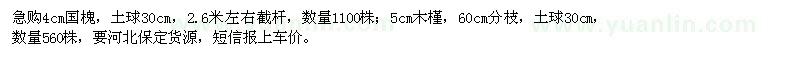 求購急4cm國槐,5cm木槿